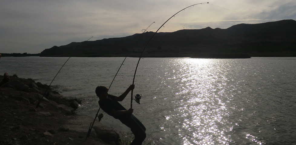 Hart am Fisch - auch im Winter